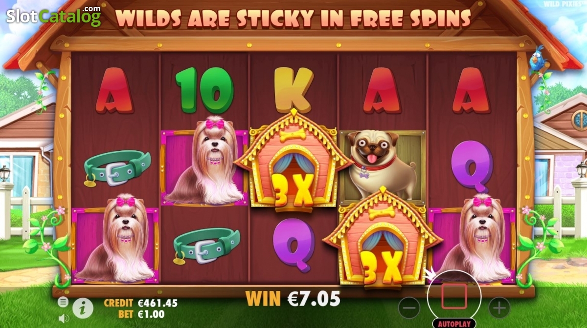 The Dog House — screenshot 4